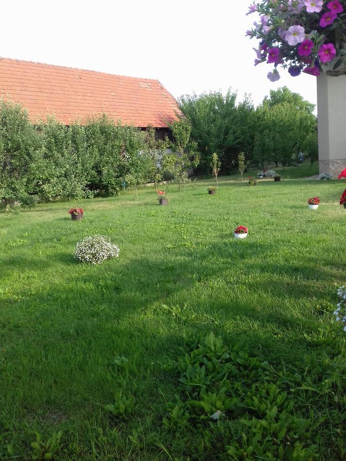 Pensiunea Abel Hotel Mihai Viteazu  Buitenkant foto