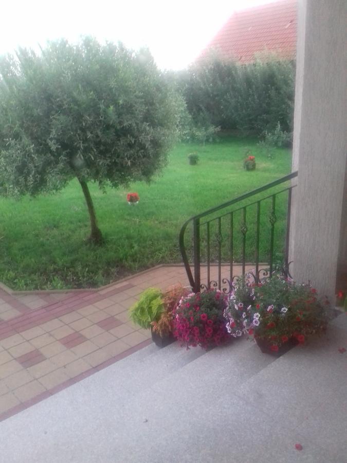 Pensiunea Abel Hotel Mihai Viteazu  Buitenkant foto