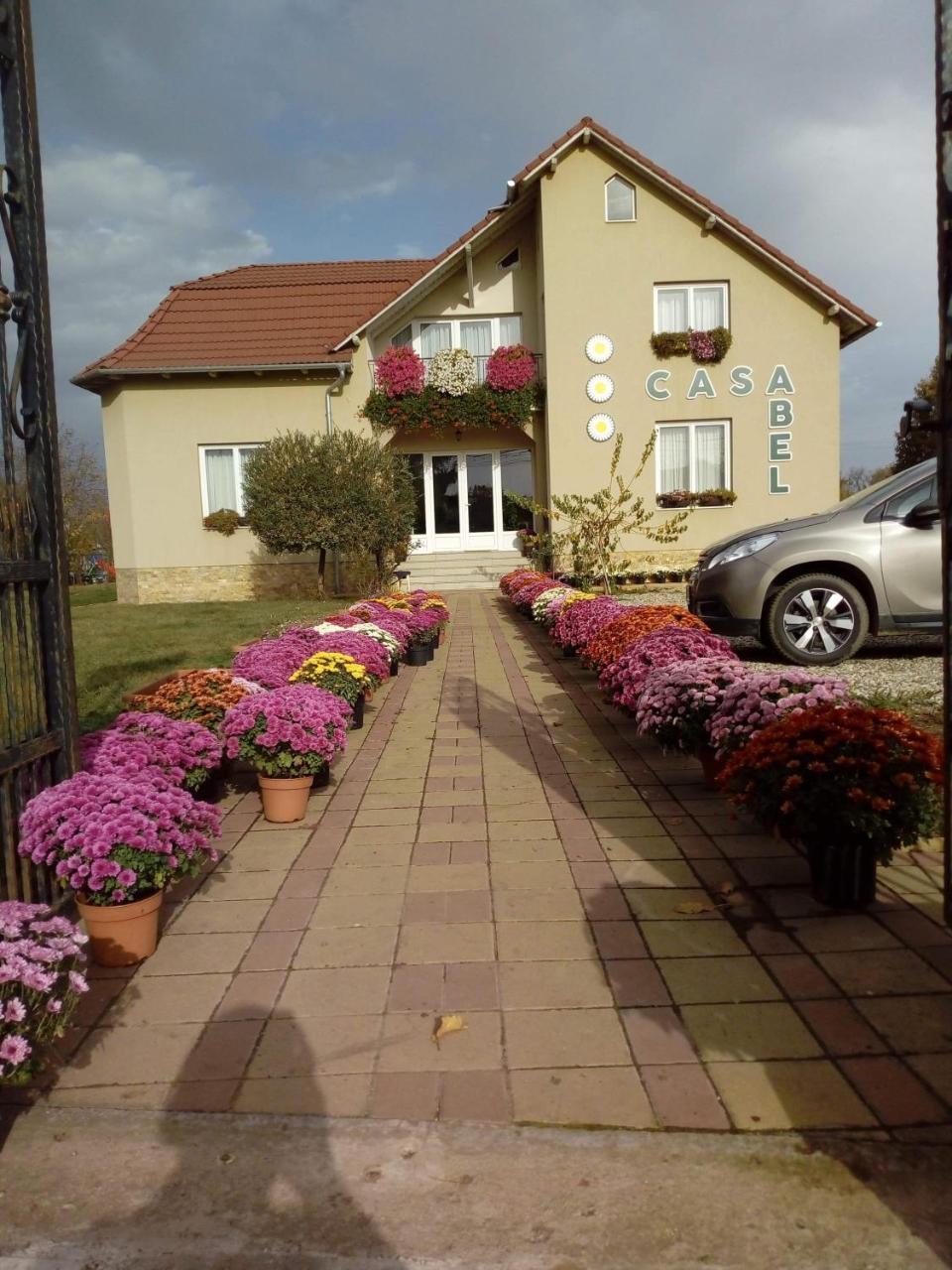 Pensiunea Abel Hotel Mihai Viteazu  Buitenkant foto