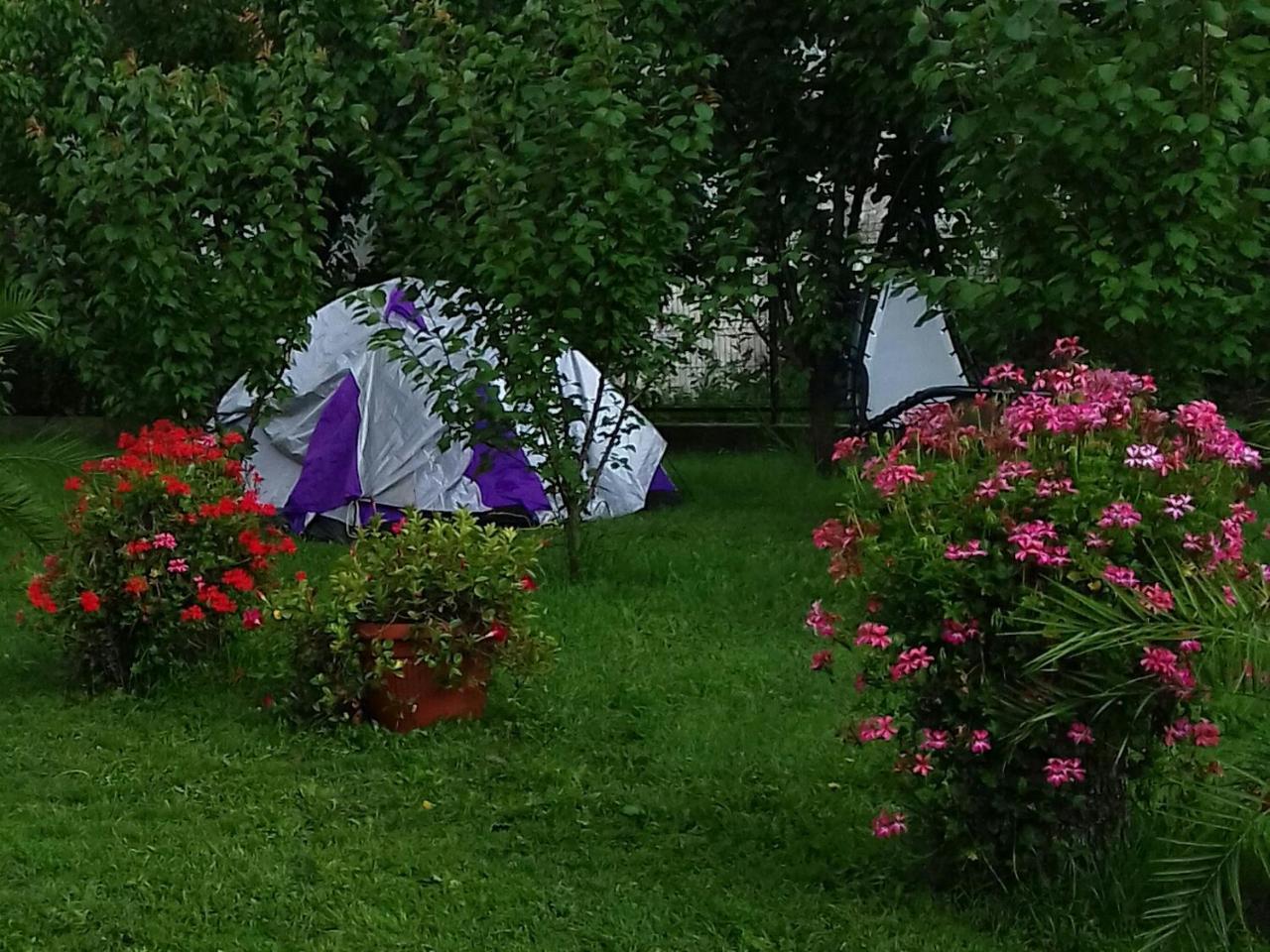 Pensiunea Abel Hotel Mihai Viteazu  Buitenkant foto