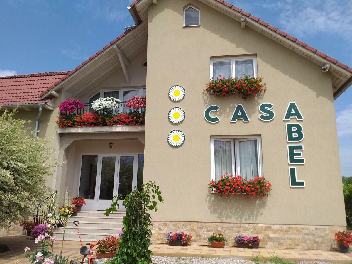 Pensiunea Abel Hotel Mihai Viteazu  Buitenkant foto